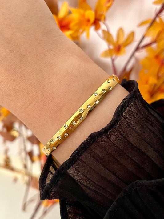 Classic Shine Bangle